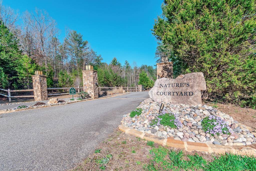 Mineral Bluff, GA 30559,Lot 43 Dusty Danno Trail