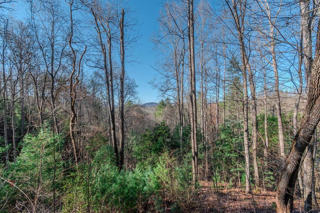 Mineral Bluff, GA 30559,Lot 43 Dusty Danno Trail