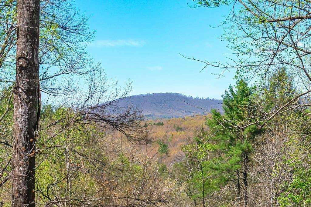 Mineral Bluff, GA 30559,Lot 43 Dusty Danno Trail