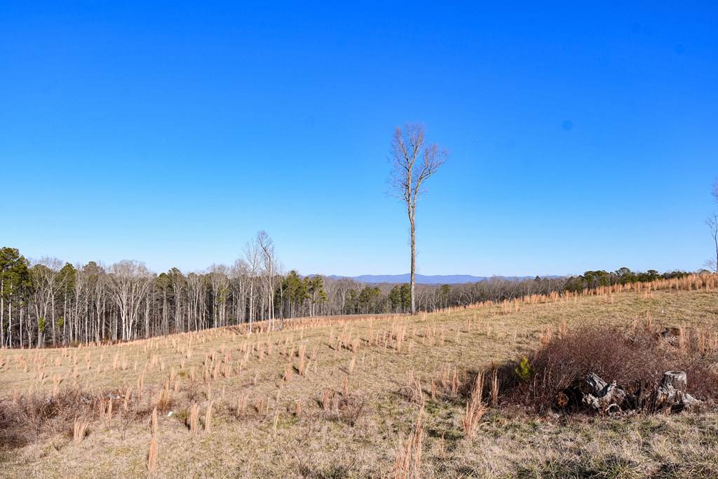 Ranger, GA 30734,1060 Bryant Loop