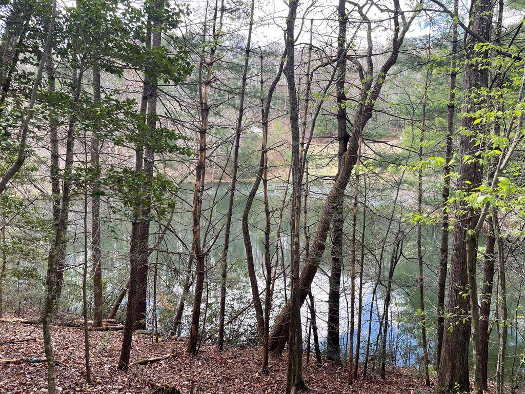 Cherry Log, GA 30522,Lot 45 Hidden Lake Drive