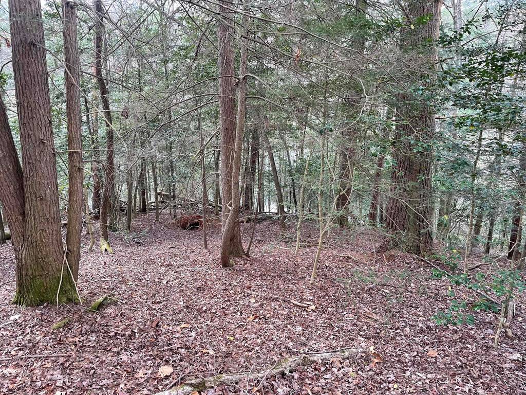 Cherry Log, GA 30522,Lot 45 Hidden Lake Drive