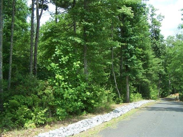 Murphy, NC 20906,Lot 16 Chestnut Oaks Drive