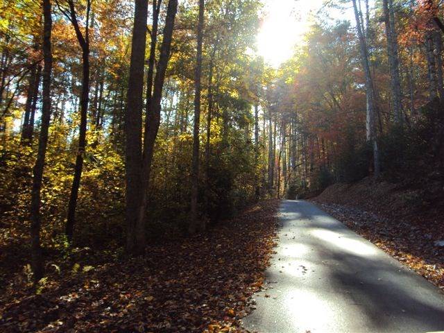 Murphy, NC 20906,Lot 16 Chestnut Oaks Drive