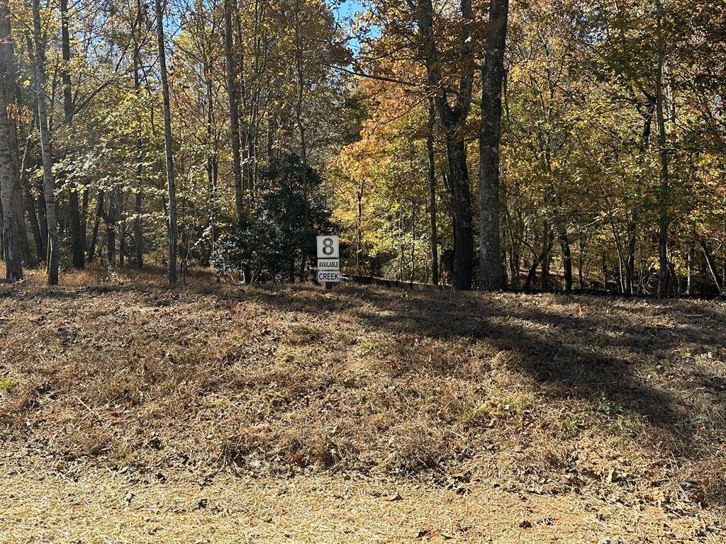 Ellijay, GA 30536,LOT 8 Clear Creek Preserve Way