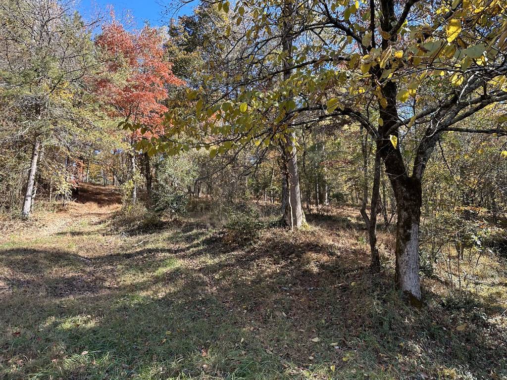 Ellijay, GA 30536,LOT 8 Clear Creek Preserve Way