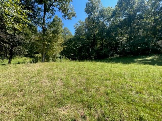 Ellijay, GA 30536,LOT 8 Clear Creek Preserve Way