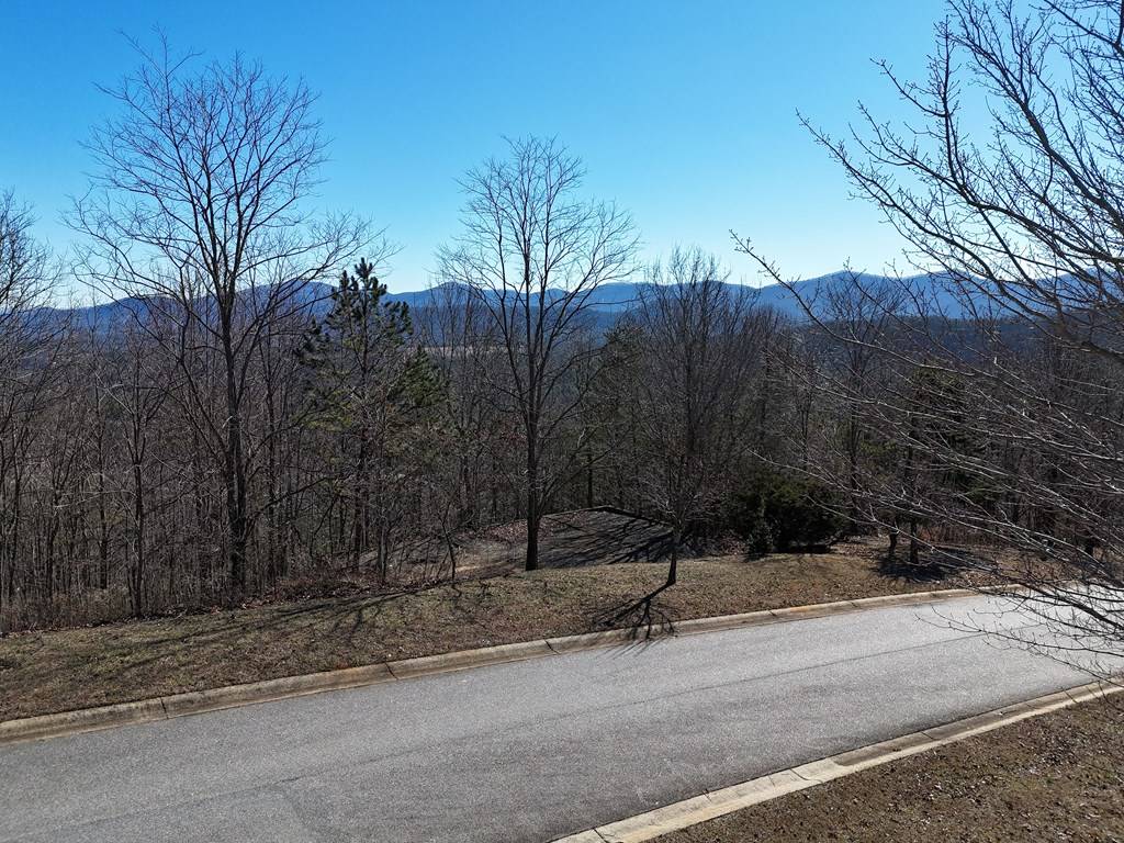 Blairsville, GA 30512,Lot 11 The Summit