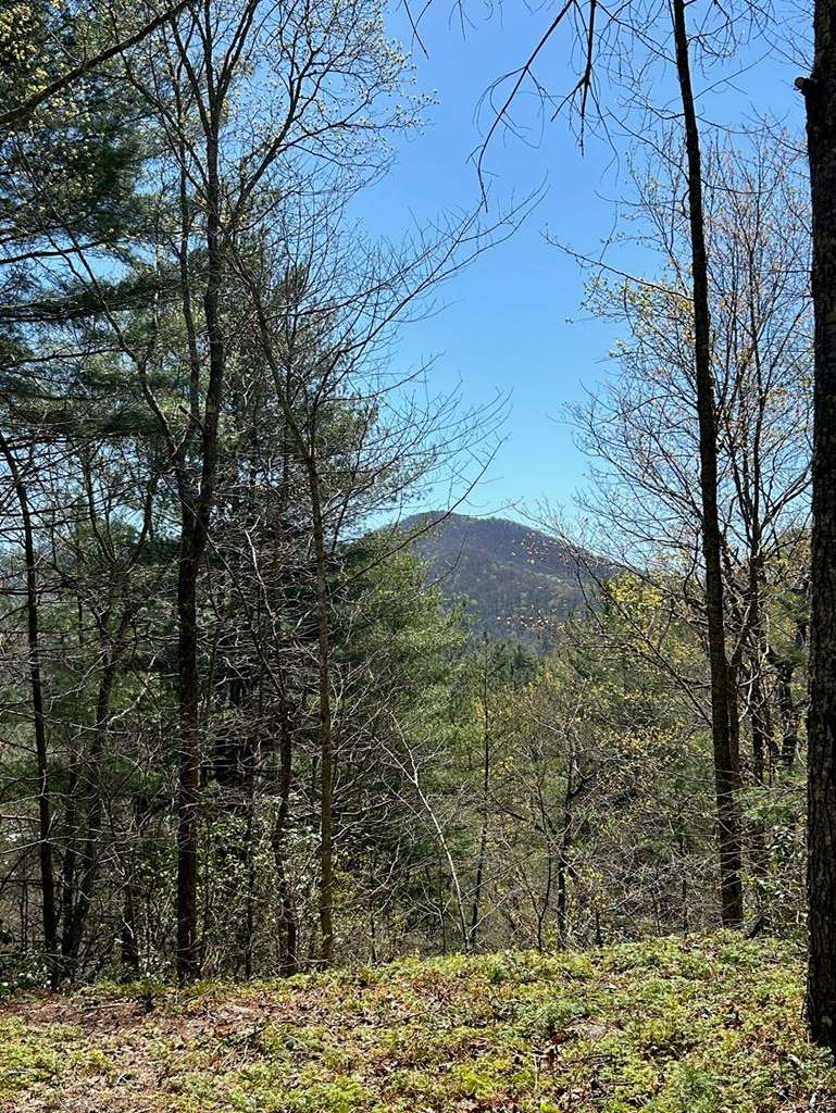 Hiawassee, GA 30546,Lots 4&5 White Oak Forest Road