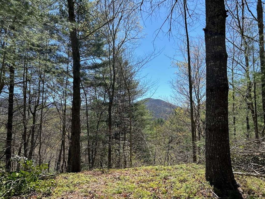 Hiawassee, GA 30546,Lots 4&5 White Oak Forest Road