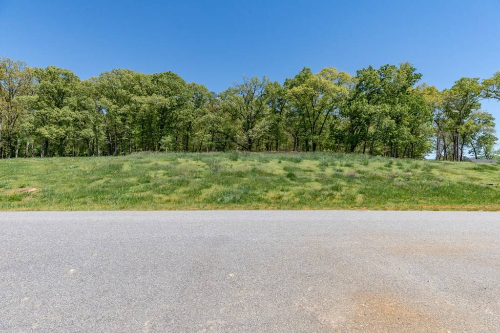 Blairsville, GA 30512,Lot 26 The Farm @ Highland