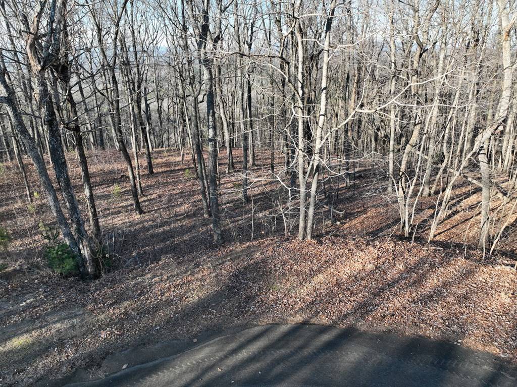 Ellijay, GA 30536,95 Northland Trail