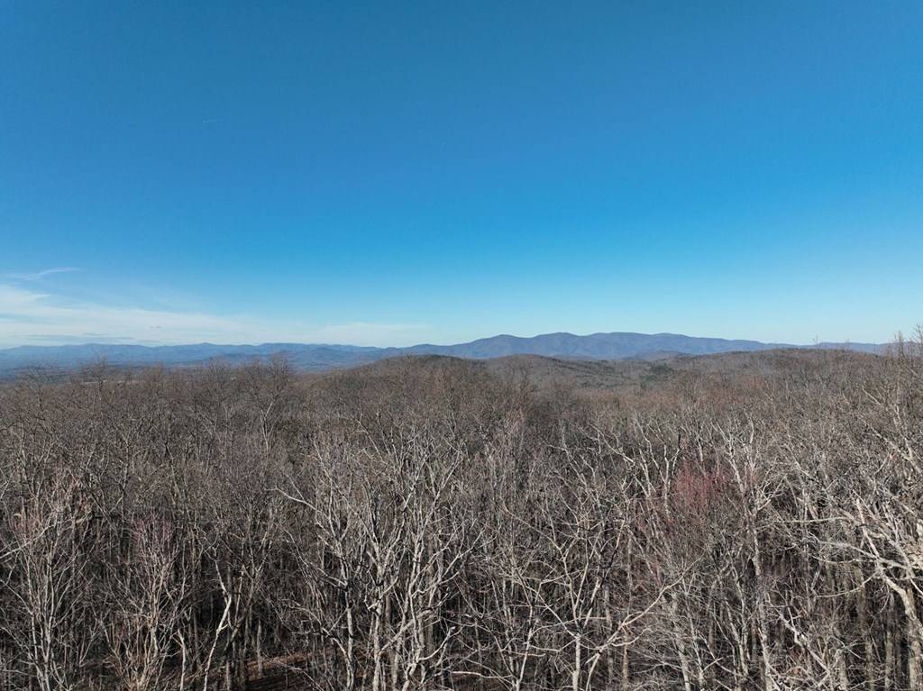 Ellijay, GA 30536,95 Northland Trail