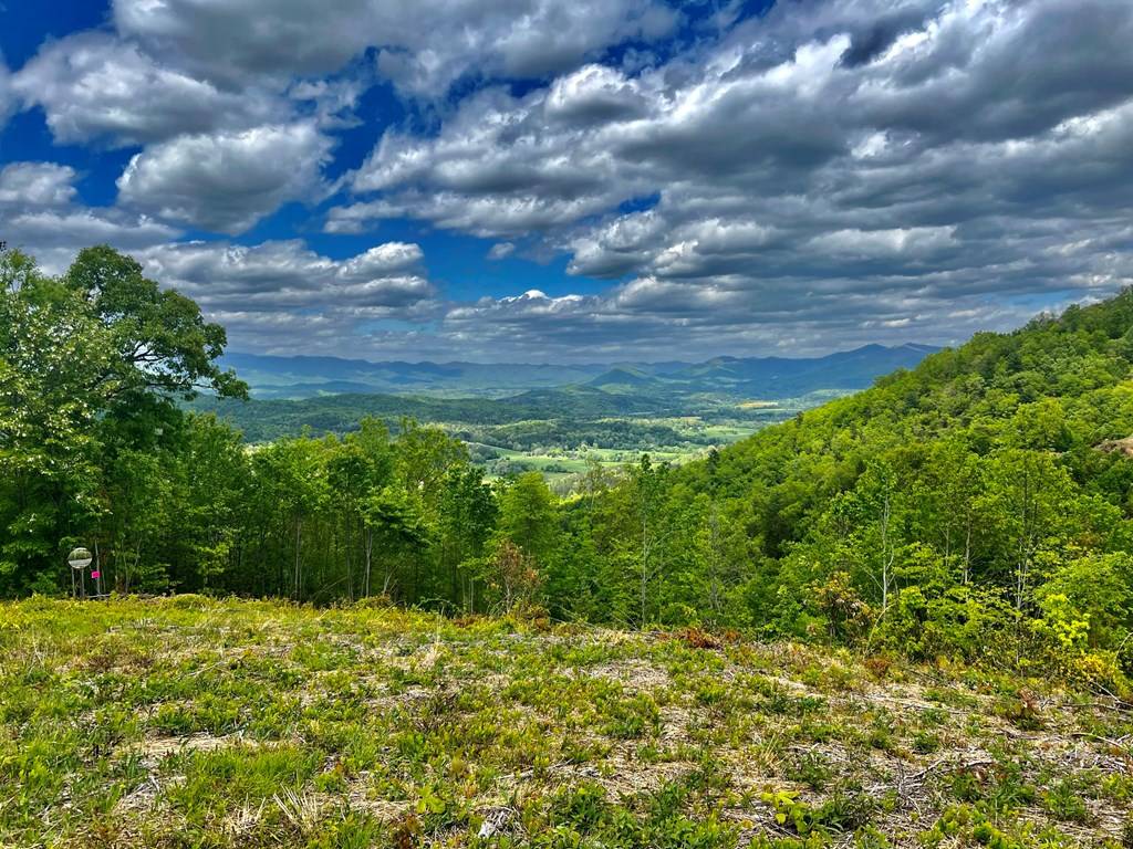 Murphy, NC 28906,Lot 11 Above the Clouds