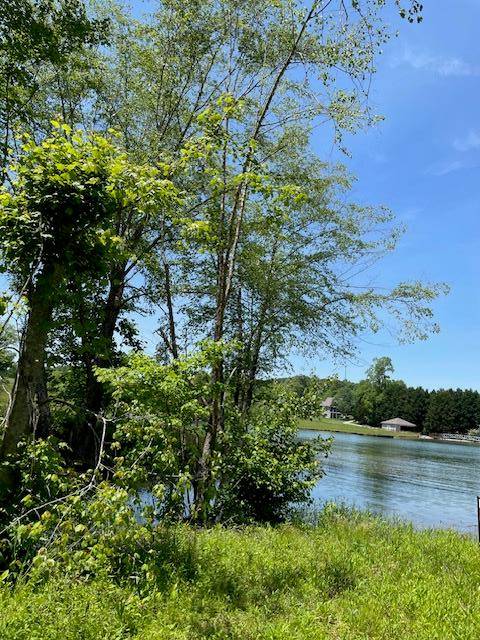 Hiawassee, GA 30546,Lot 3A Tranquil Pointe