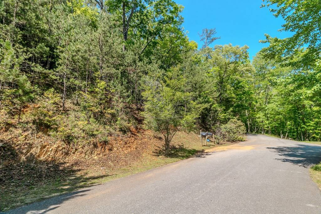 Mineral Bluff, GA 30559,Lot 87 Valley Lake Trail