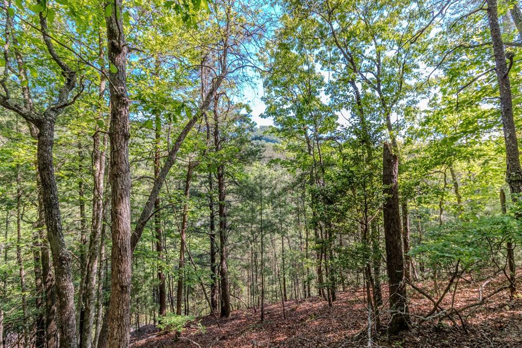 Mineral Bluff, GA 30559,Lot 87 Valley Lake Trail