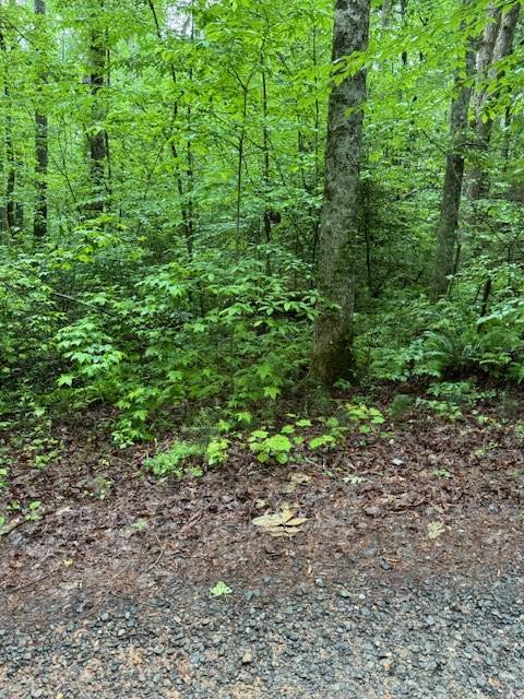 Ellijay, GA 30540,Lot 146 Garner Lane