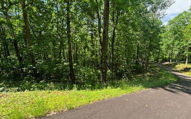 Young Harris, GA 30582,Lot 90 Rocky Knob