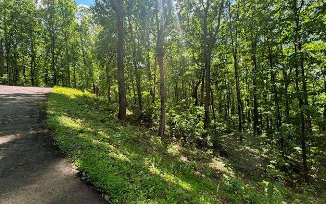 Young Harris, GA 30582,Lot 90 Rocky Knob