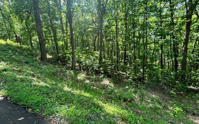 Young Harris, GA 30582,Lot 90 Rocky Knob