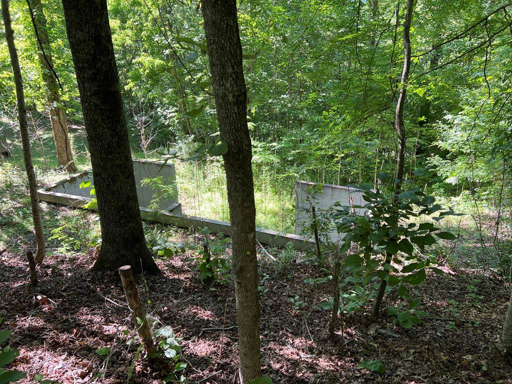 Hayesville, NC 28904,Lot 153 Chatuge Village