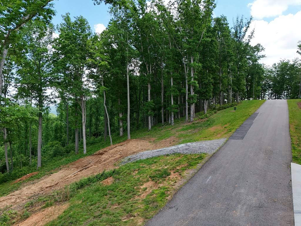 Blairsville, GA 30512,Lot 139 Winding Ridge