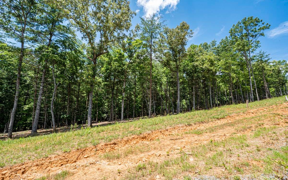 Morganton, GA 30560,Lot 152 The Ridges