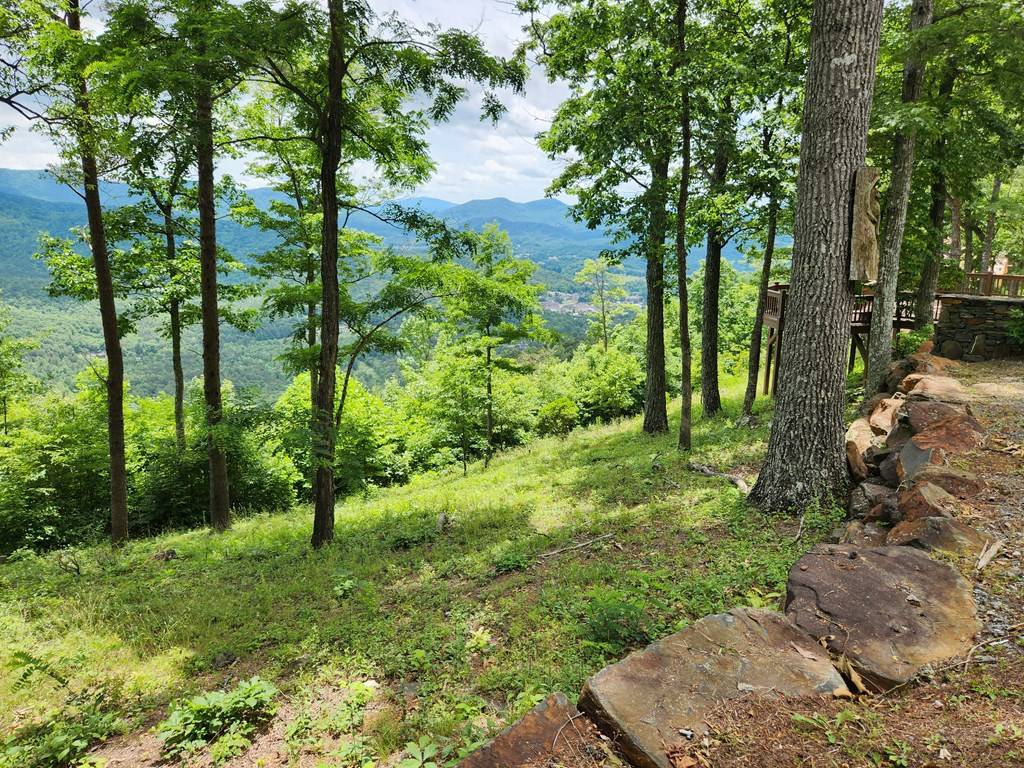 Young Harris, GA 30582,Lot 18 Rocky Knob Estates