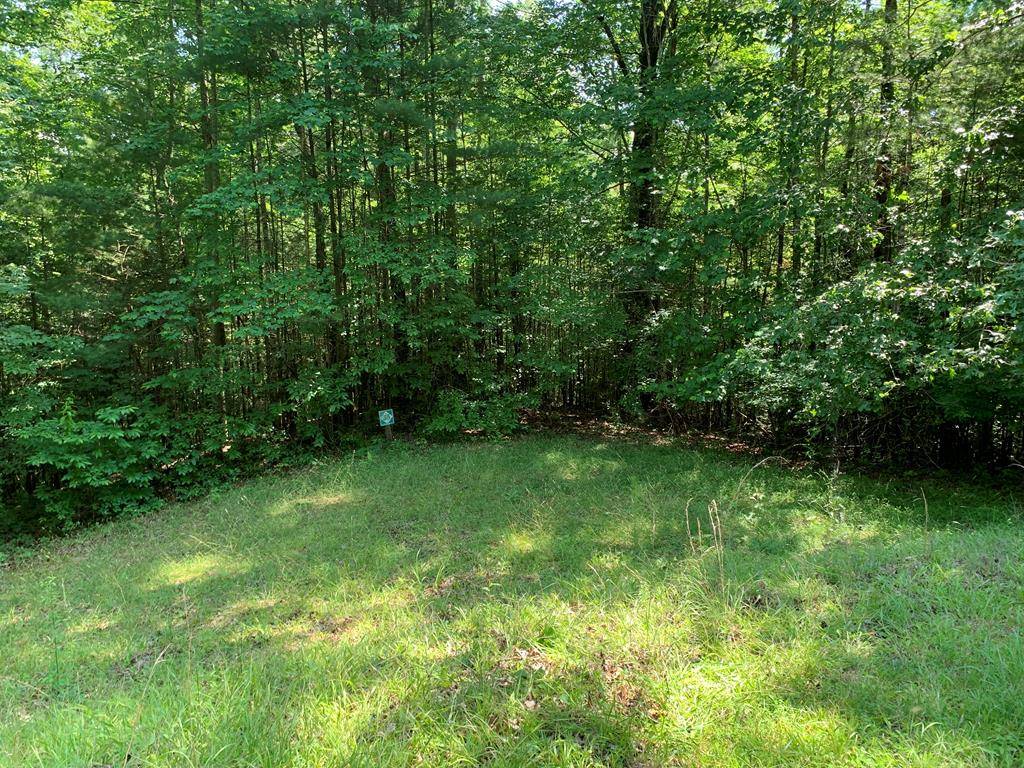 Ellijay, GA 30540,LOT 35 Maple Rest Trail