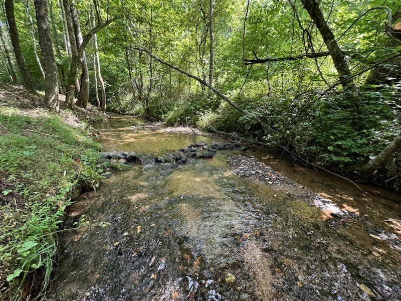 Morganton, GA 30560,Lot 7 Briar Creek Court