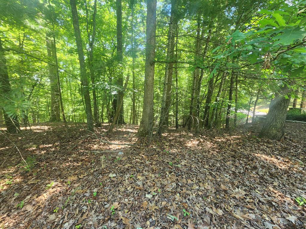 Morganton, GA 30560,Lot 3 Meadow View Drive