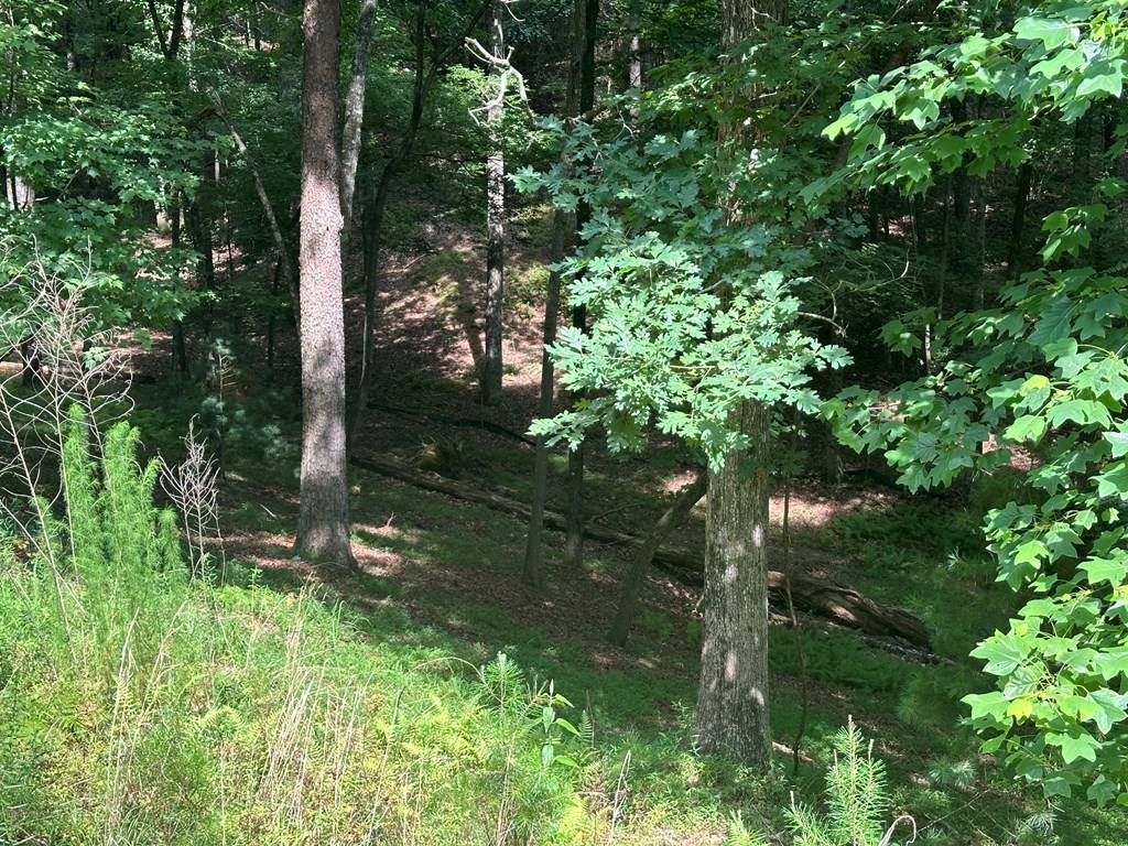 Ellijay, GA 30540,Lot 61 Coweta Court