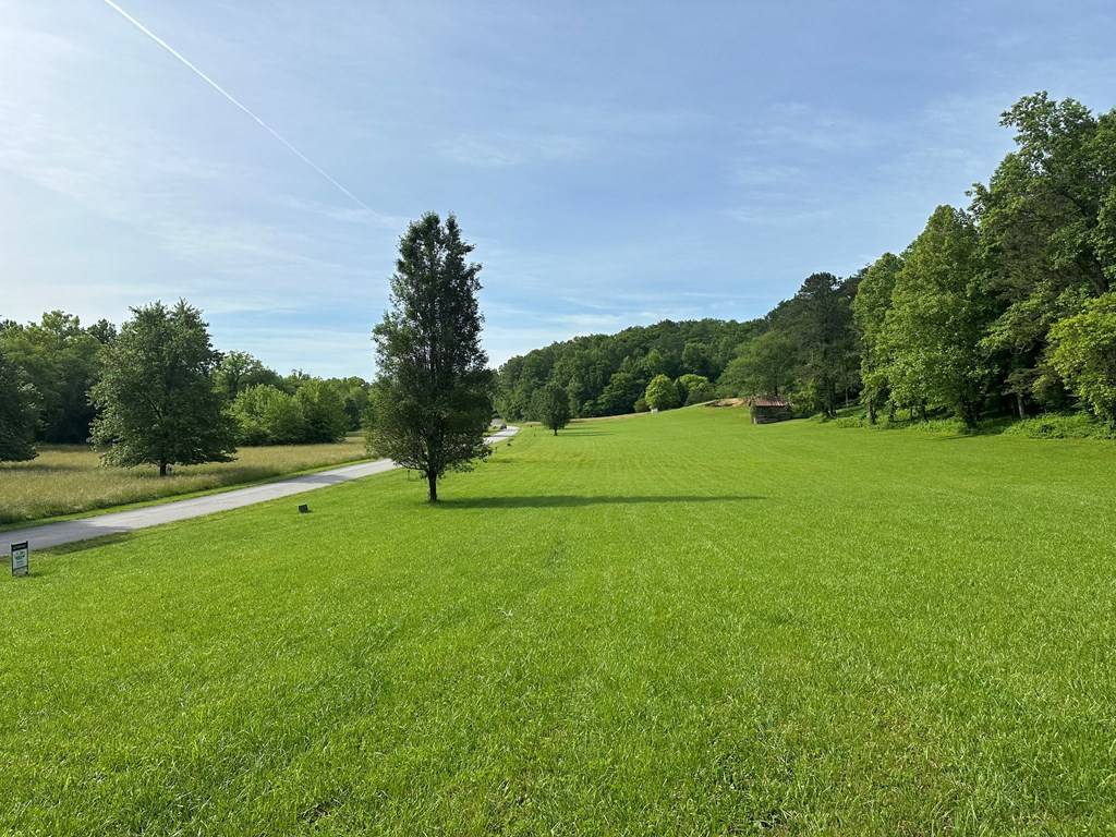 Warne, NC 28909,Lot 43 Prosperity Dr