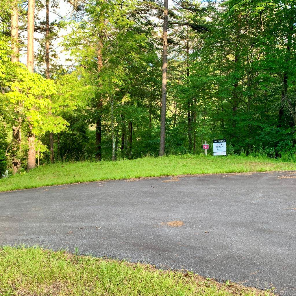 Warne, NC 28909,Lot 31 Gobbler View