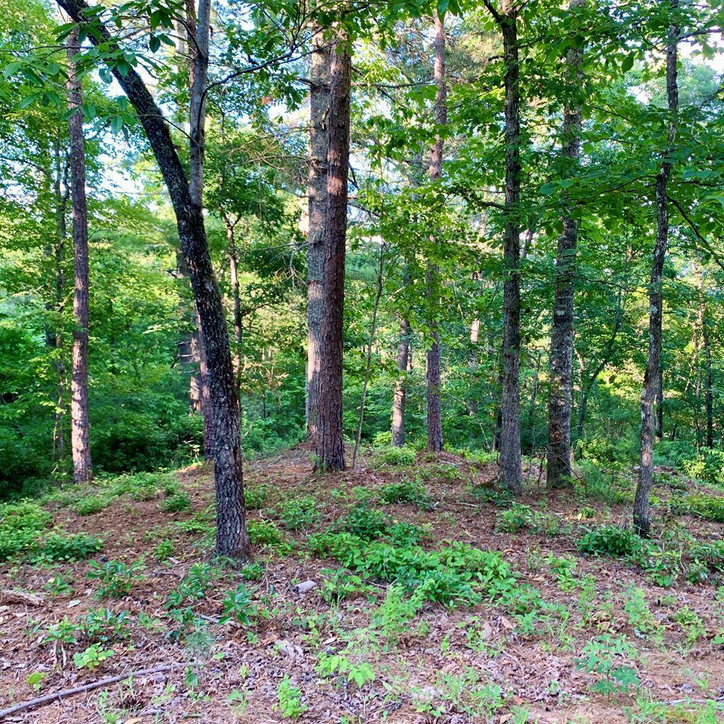 Warne, NC 28909,Lot 27 Solo View