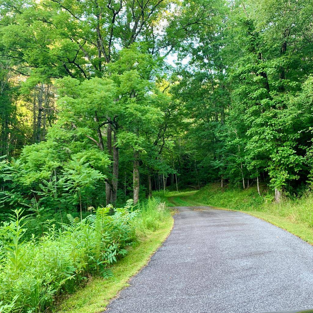 Warne, NC 28909,Lot 27 Solo View