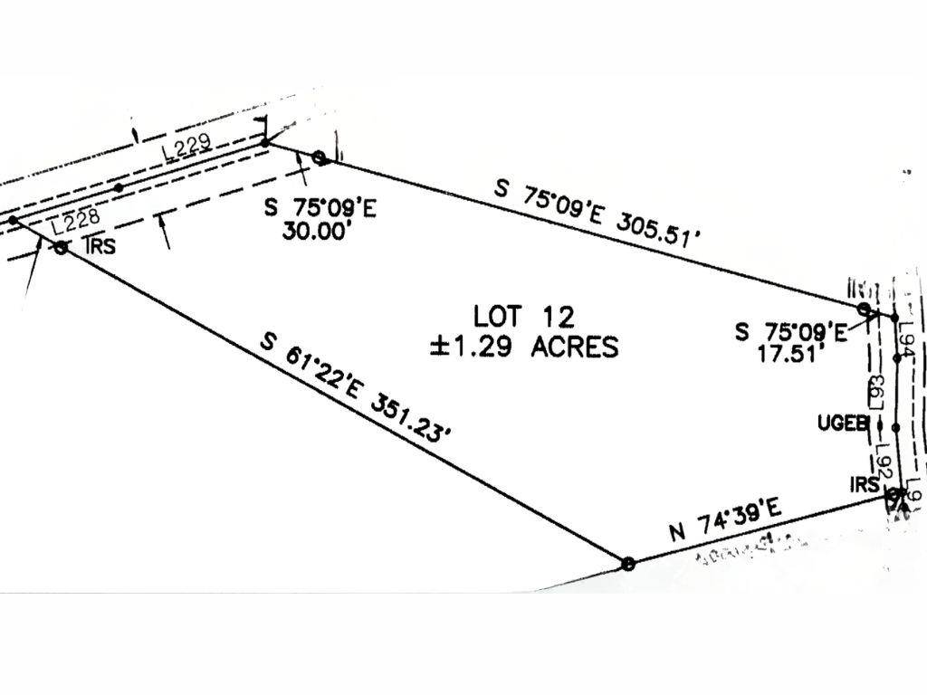 Warne, NC 28909,Lot 12 Cricket Lane