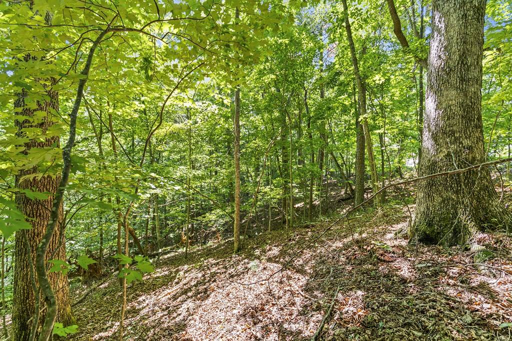 Ellijay, GA 30540,LOT 36 TIMBERWALK DR