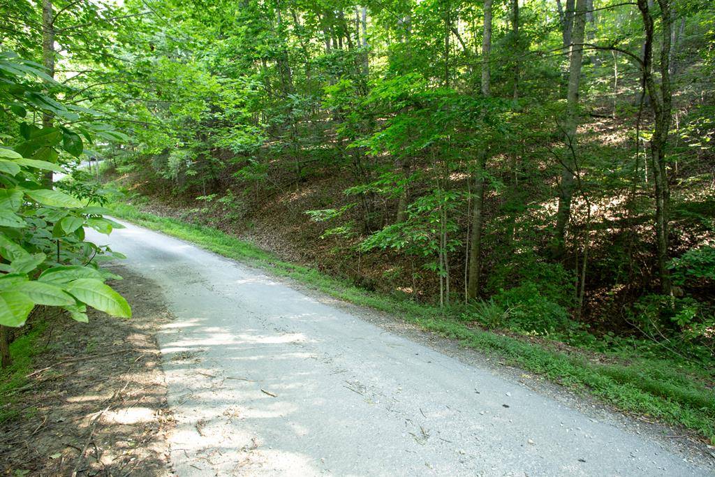 Blairsville, GA 30512,Lot 161 AJ's Holler