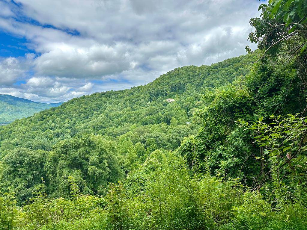 Hayesville, NC 28904,Lot 32 Shiloh Trail