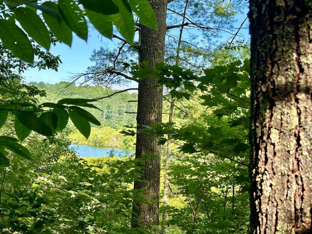 Hayesville, NC 28904,Lot 46 Trillium Heights