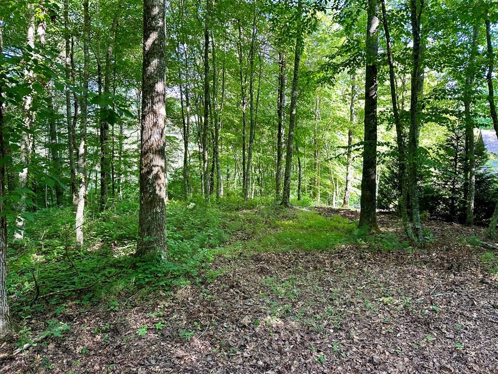 Hayesville, NC 28904,Lot 46 Trillium Heights