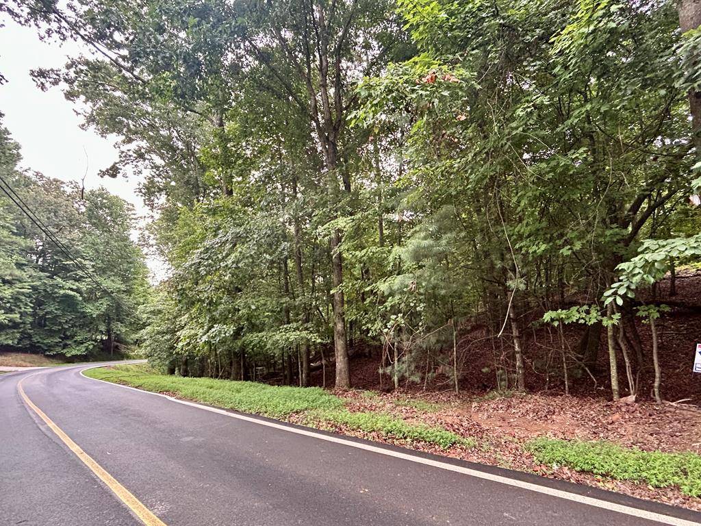 Ellijay, GA 30540,Lot 3540 Newport Drive