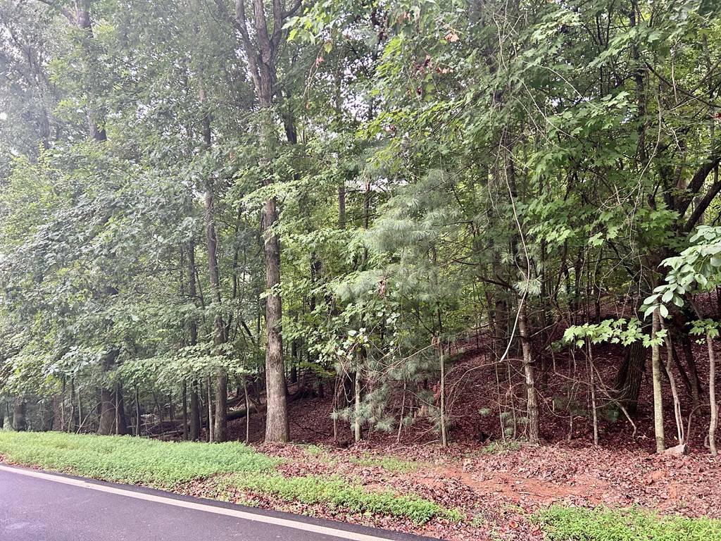 Ellijay, GA 30540,Lot 3540 Newport Drive