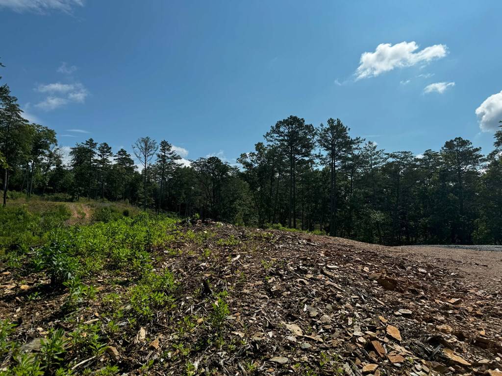 Mineral Bluff, GA 30559,Lot 14 Mountain Laurel Rdg