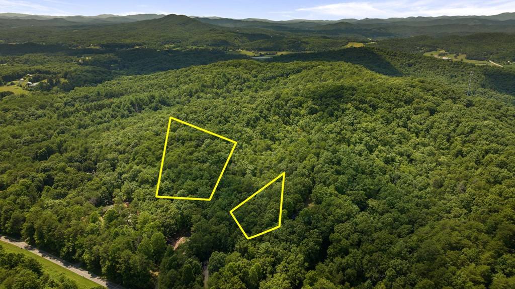 Brasstown, NC 28902,1AC Bruce Wike Lane