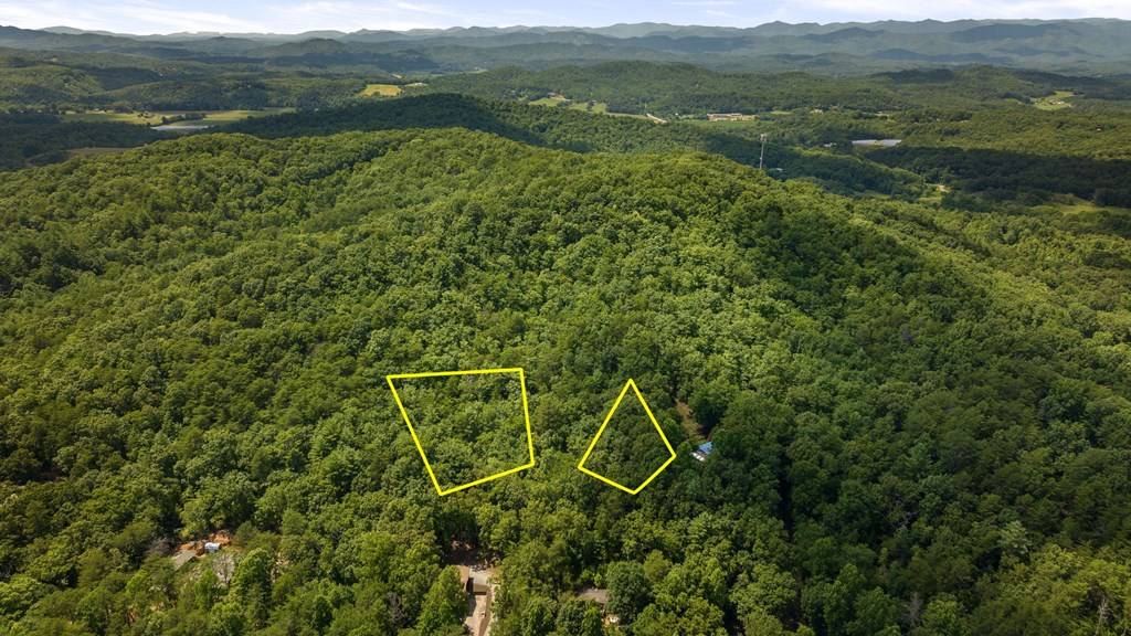 Brasstown, NC 28902,1AC Green Cove Road