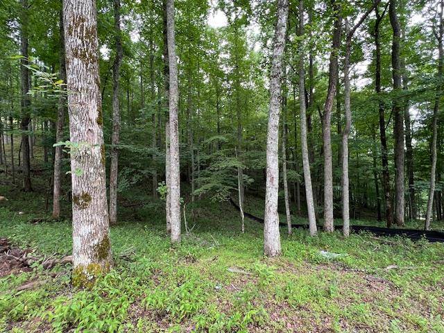 Morganton, GA 30560,Lot 2 Grand Oaks Trail