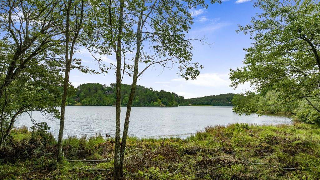 Turtletown, TN 37391,00 Campbell Cove Road